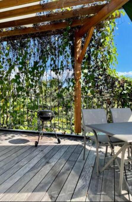 T3 Lumineux Avec Vue Exceptionnelle Et Piscine Oasis De Nature Et Serenite Petit-Canal 外观 照片